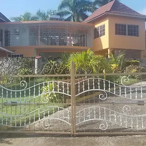 Chaudhry House Villa